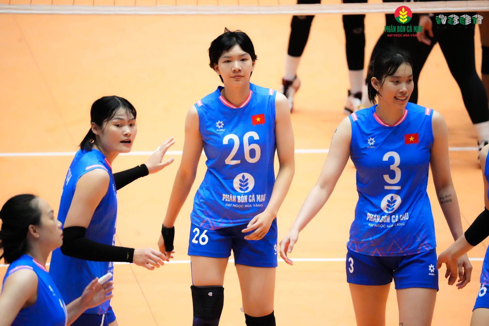tin bong chuyen hom nay 13-8 (3)