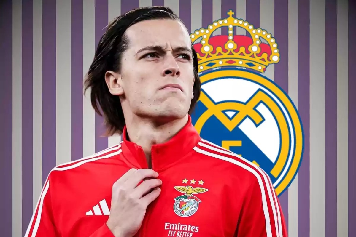 Alvaro Carreras real