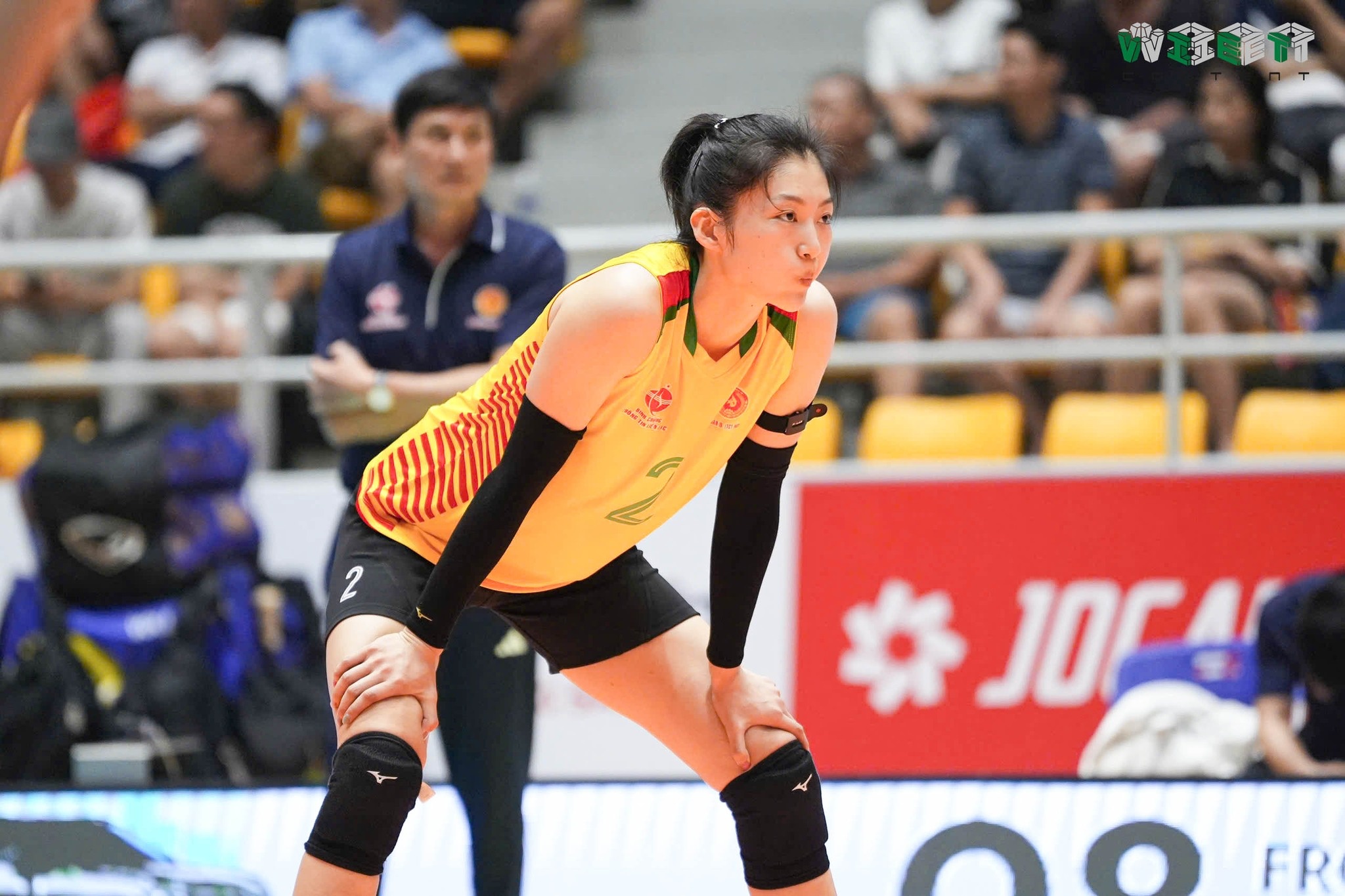 binh chung thong tin bong chuyen viet nam