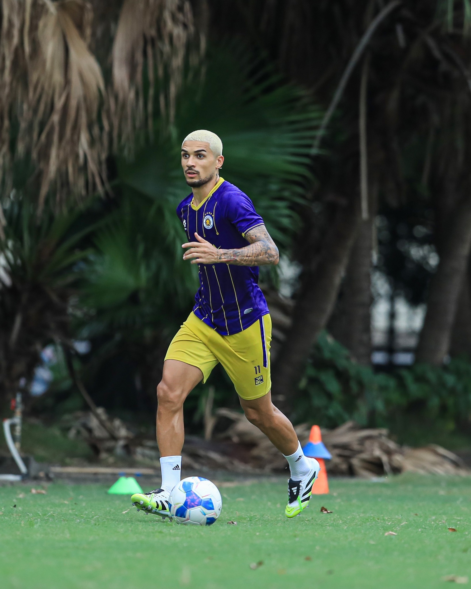 hendrio nhap tich (1)