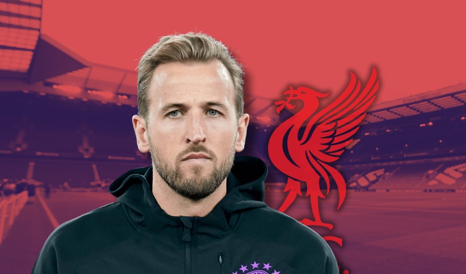 kane liverpool