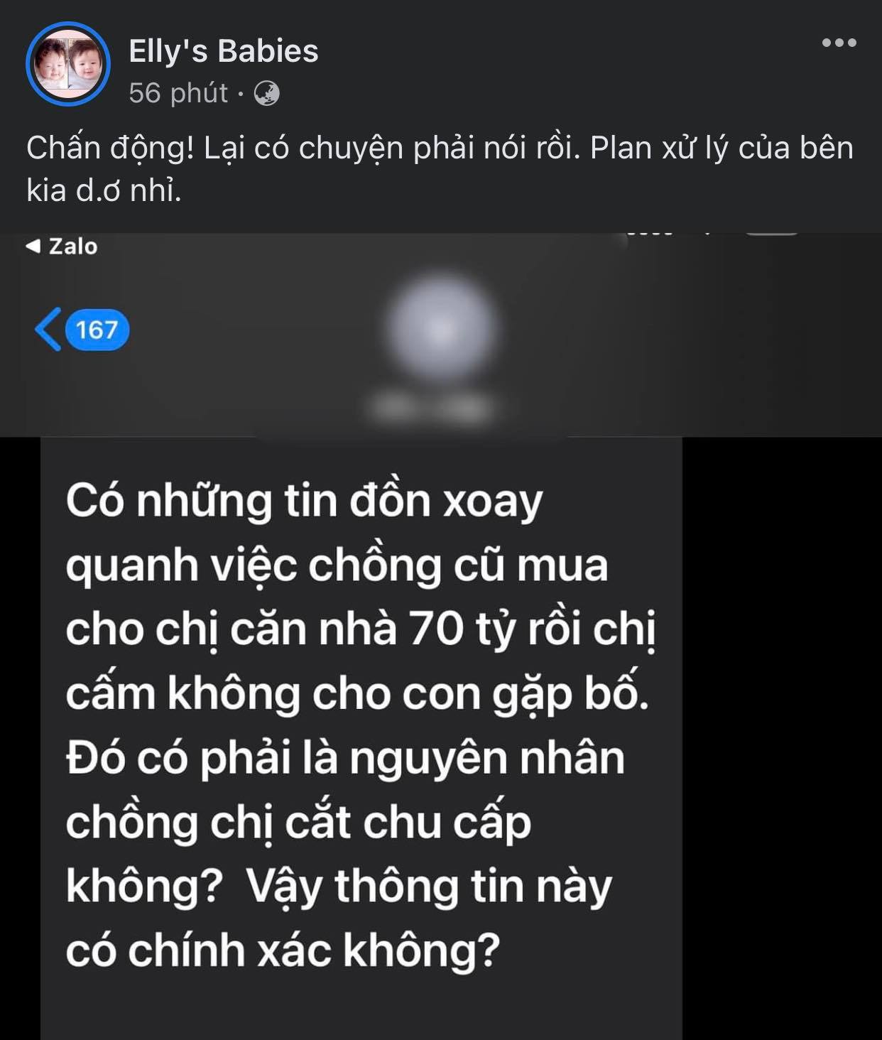 Thực hư việc Elly Trần được chồng Tây mua căn nhà 70 tỷ và cắm các con không được gặp bố - ảnh 1