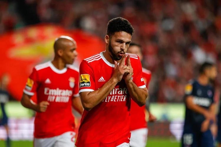 goncalo-ramos-benfica