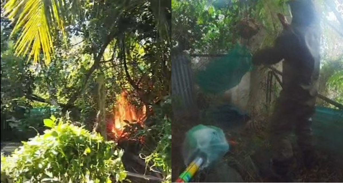 Không có phép màu đến với người phụ nữ 63 tuổi bị ong vò vẽ đốt gần 100 mũi ở Tây Ninh